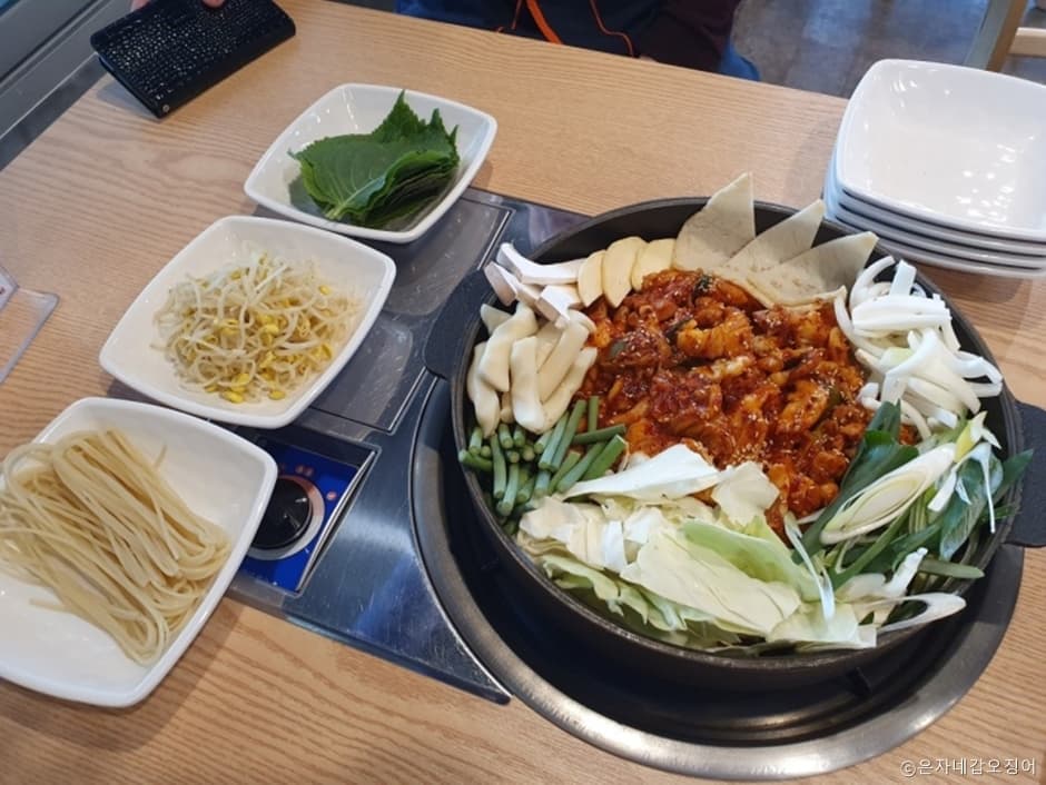 은자네갑오징어 대표 이미지
