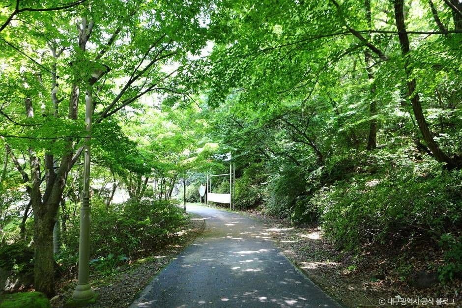 비슬산자연휴양림 대표 이미지