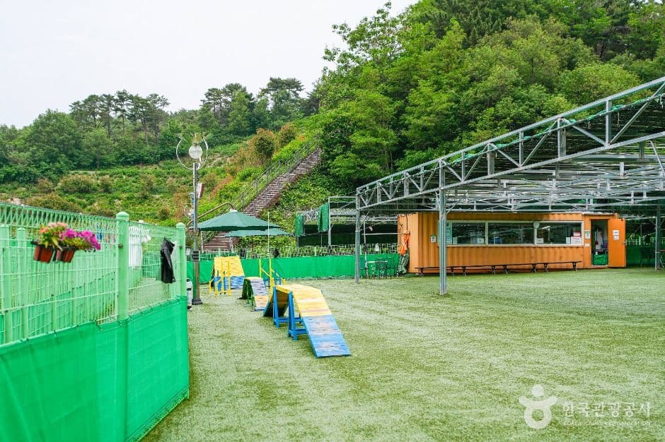 울산애견공원 대표 이미지