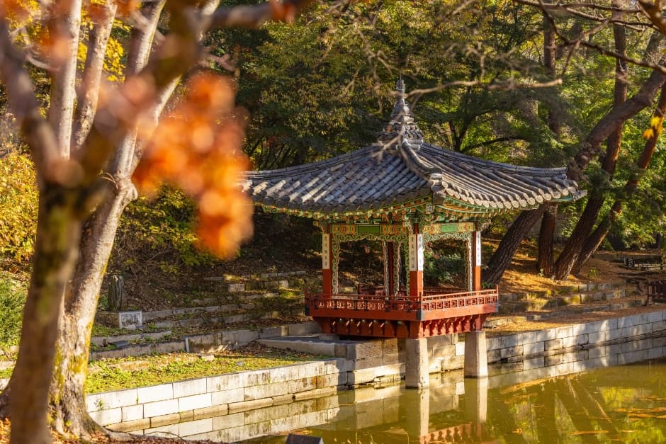 창덕궁과 후원 [유네스코 세계유산] 대표 이미지