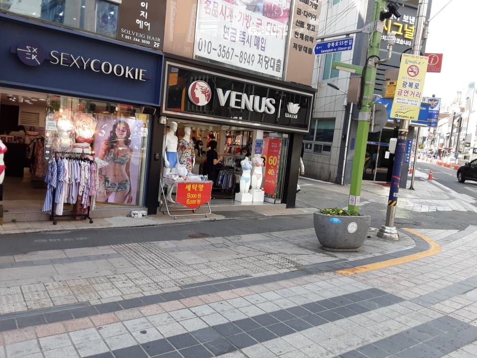 비너스 광복 대표 이미지