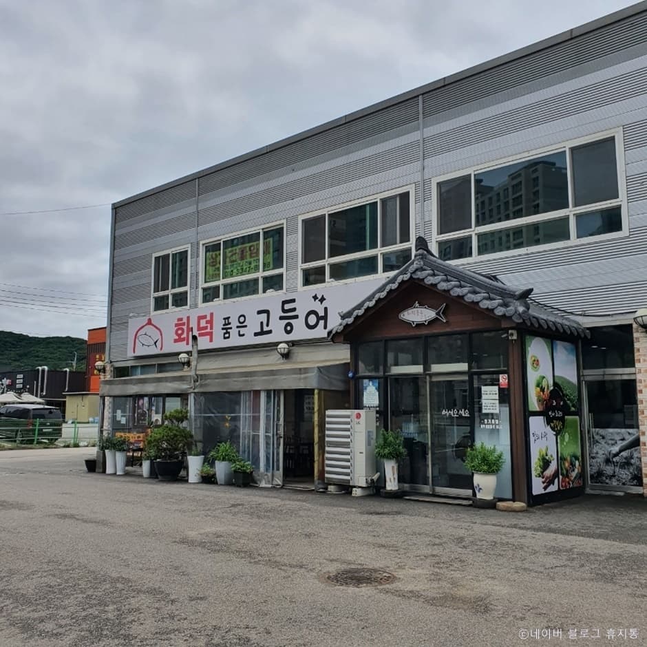 화덕품은 고등어 대표 이미지