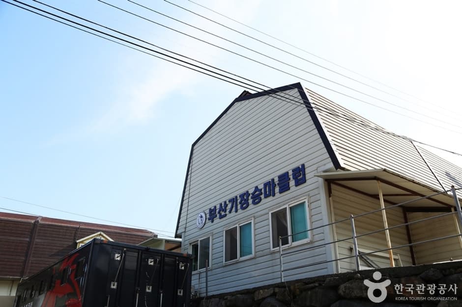 부산기장승마장 대표 이미지