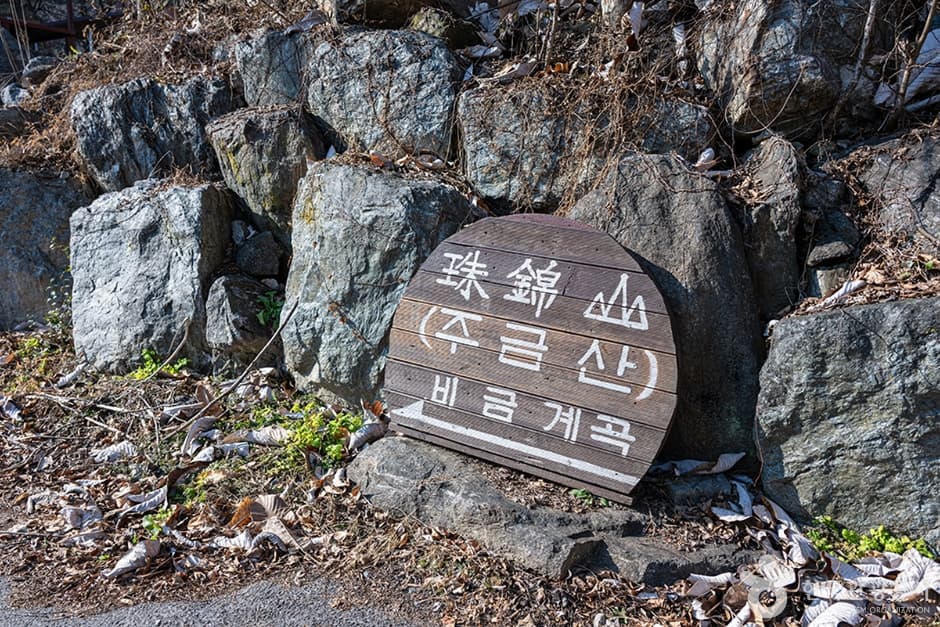 비금계곡 대표 이미지