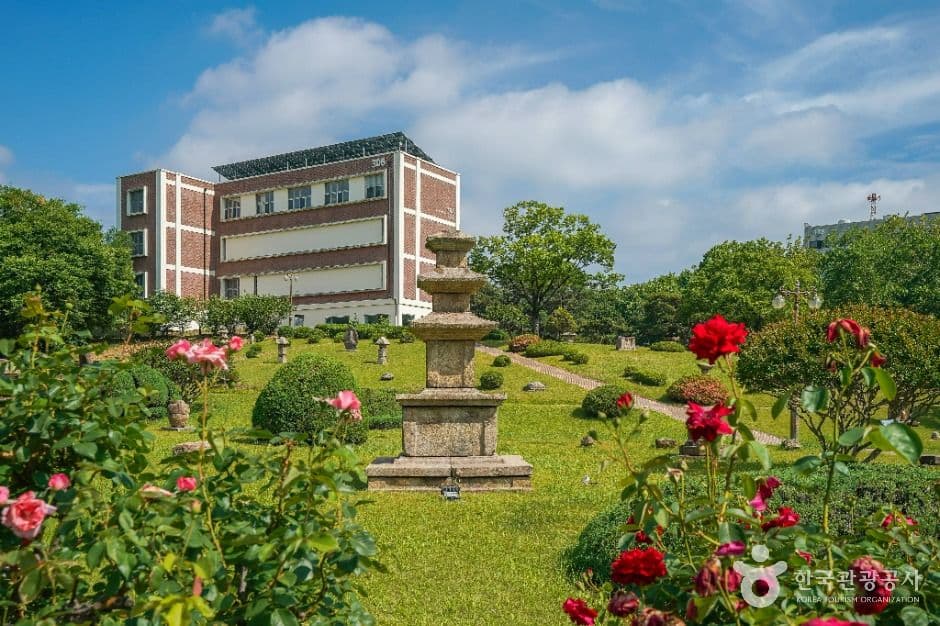 경북대학교박물관 대표 이미지