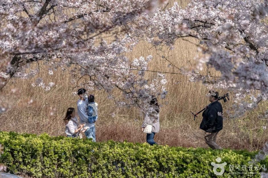 경포도립공원 대표 이미지