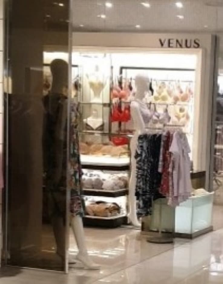비너스 대표 이미지