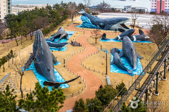 장생포 고래문화마을 대표 이미지