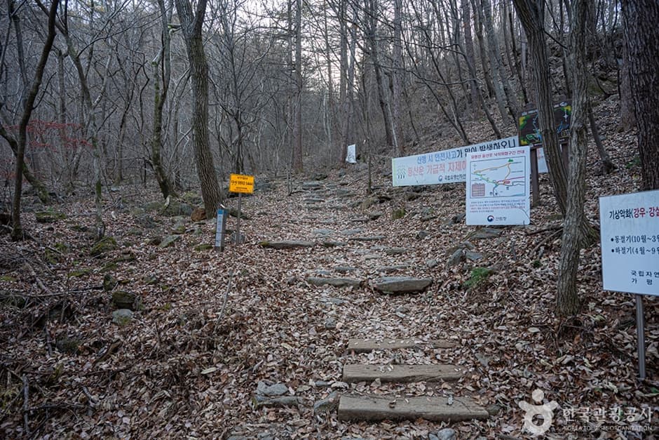 유명산 대표 이미지