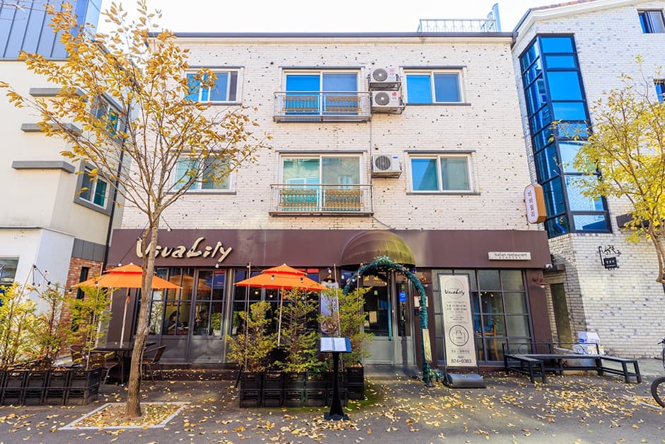 비바릴리 도안점 대표 이미지
