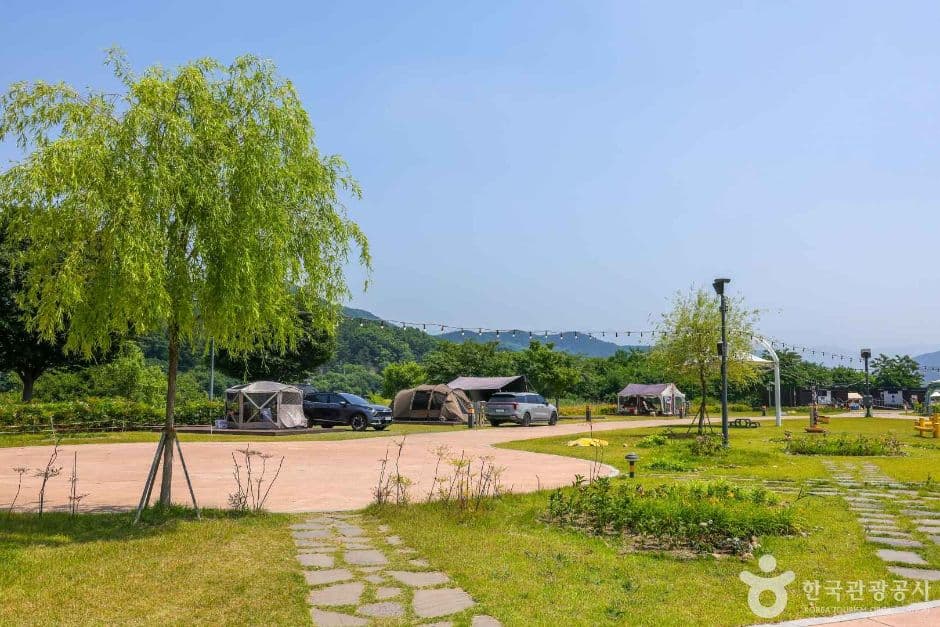 금호강 오토캠핑장 대표 이미지