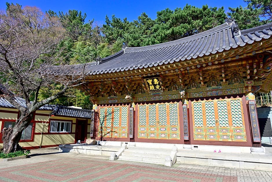 관음사(부산) 대표 이미지