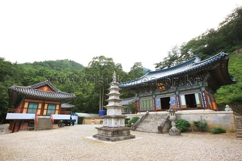 금강송과 동굴을 찾아가는 자연주의 여행 대표 이미지