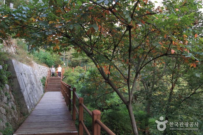 한양도성 안 궁궐과 학교이야기 대표 이미지