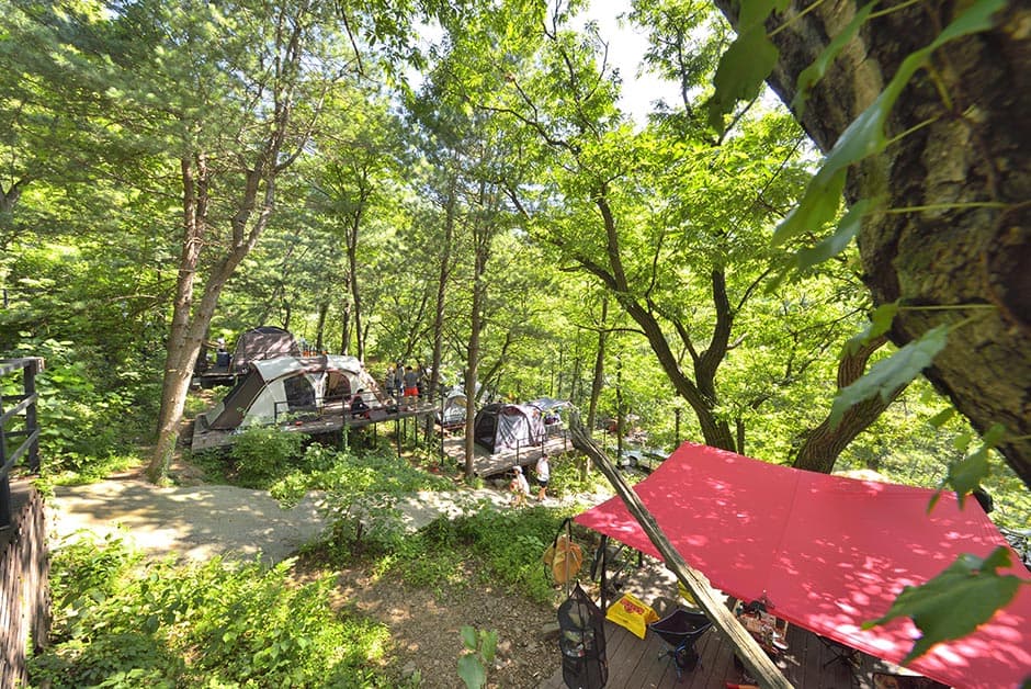 호명산캠프 대표 이미지