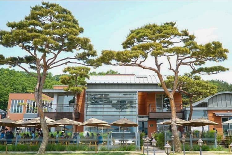 더리스레스토랑 대표 이미지