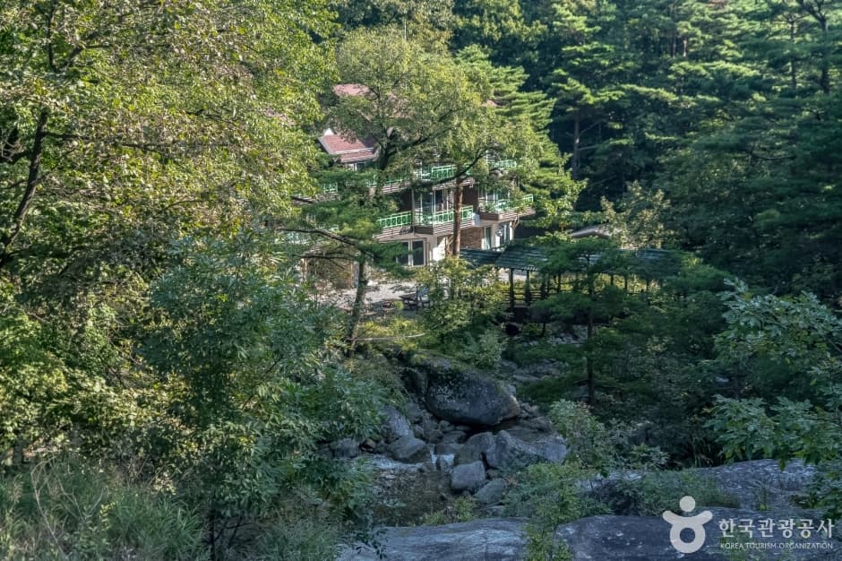 국립대관령자연휴양림 대표 이미지
