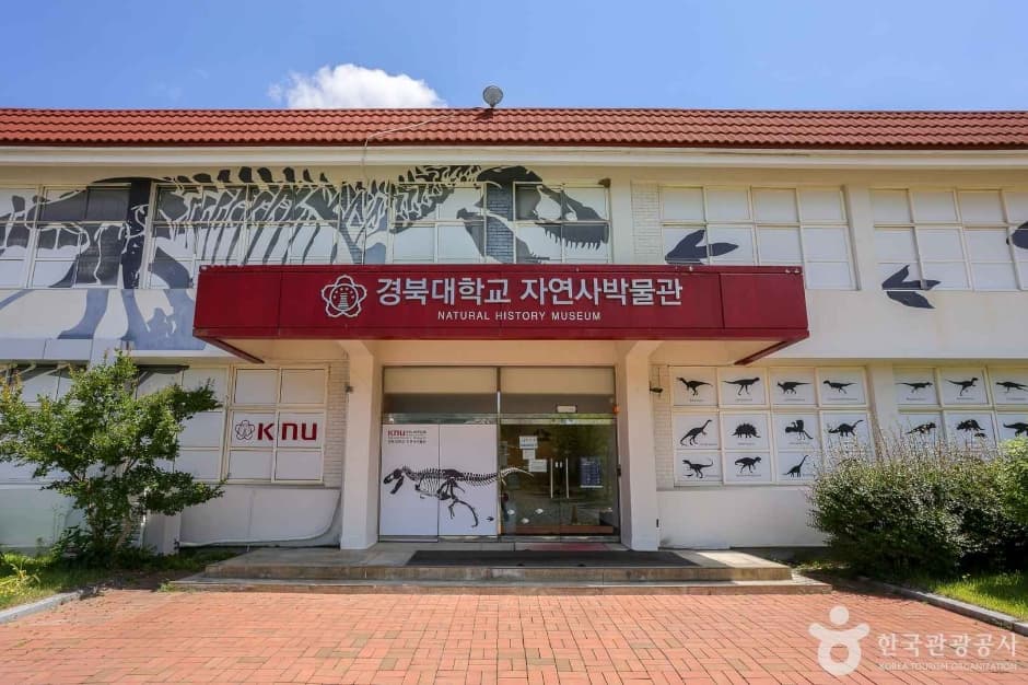 경북대학교자연사박물관 대표 이미지
