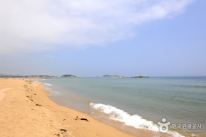 (고성) 타박타박 해파랑길 걸으며, 별미 여행 대표 이미지