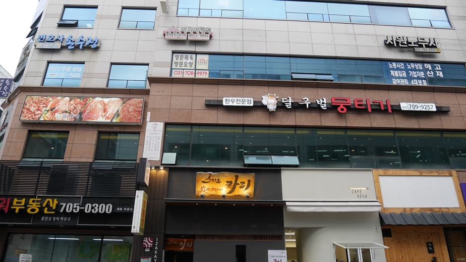 달구벌뭉티기 대표 이미지