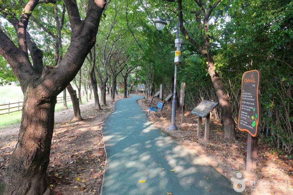 운천저수지 대표 이미지