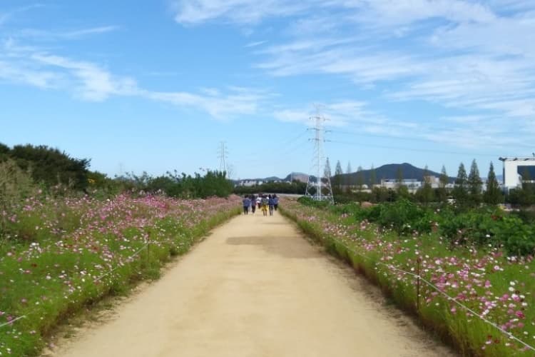 호림강나루공원(호림공원) 대표 이미지