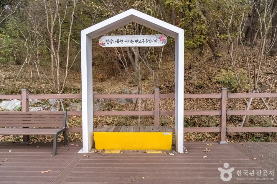 판교공원 대표 이미지