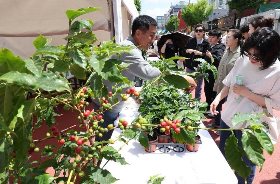 경춘선 공릉숲길 커피축제 대표 이미지