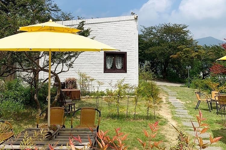 브라운피크닉 대표 이미지