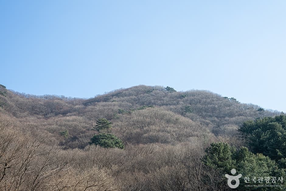 축령산 대표 이미지