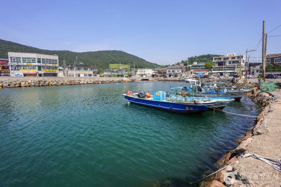 월전포구(월전방파제) 대표 이미지