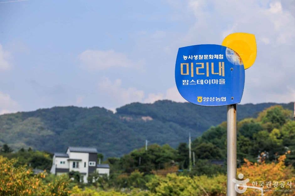 안성 미리내마을 대표 이미지
