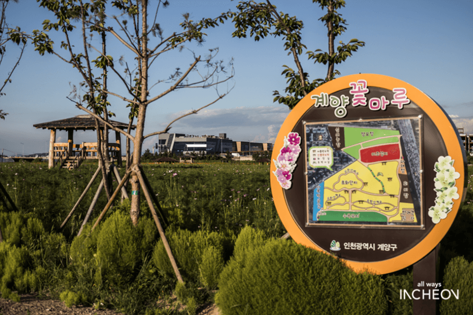 서운체육공원 대표 이미지