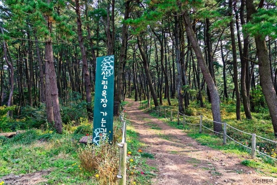 승봉산림욕장 대표 이미지