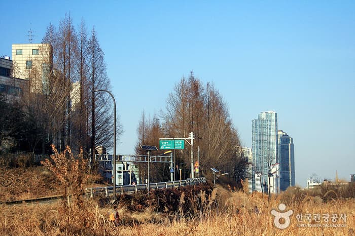 양재천 생태공원 대표 이미지