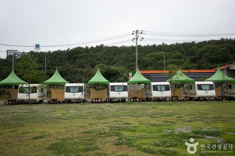 대부도캠핑시티 대표 이미지