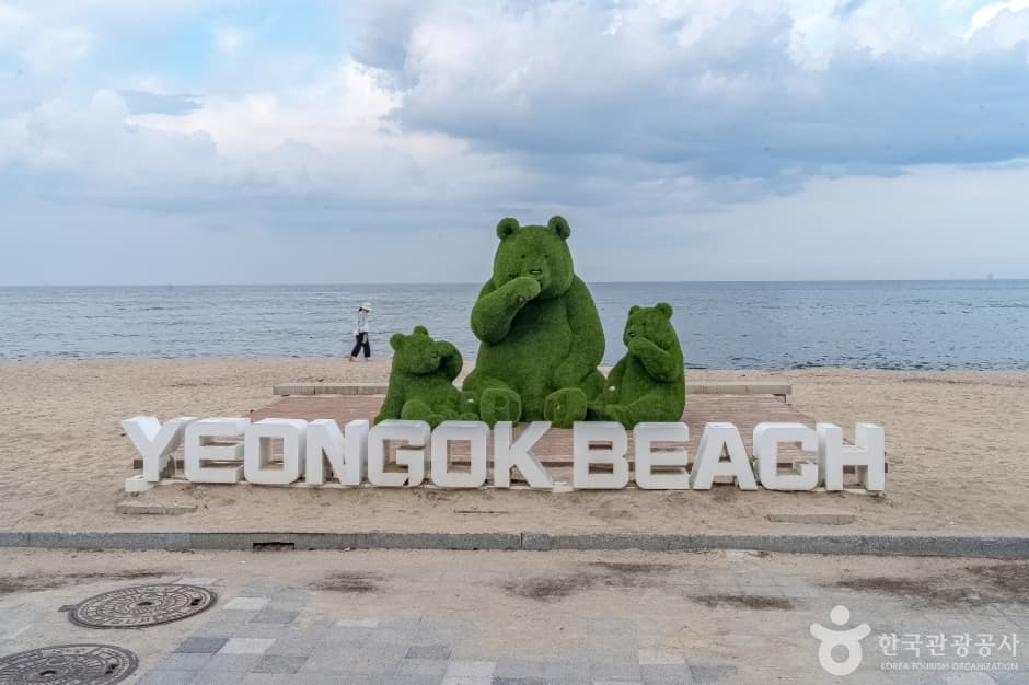 연곡해변(연곡해수욕장) 대표 이미지