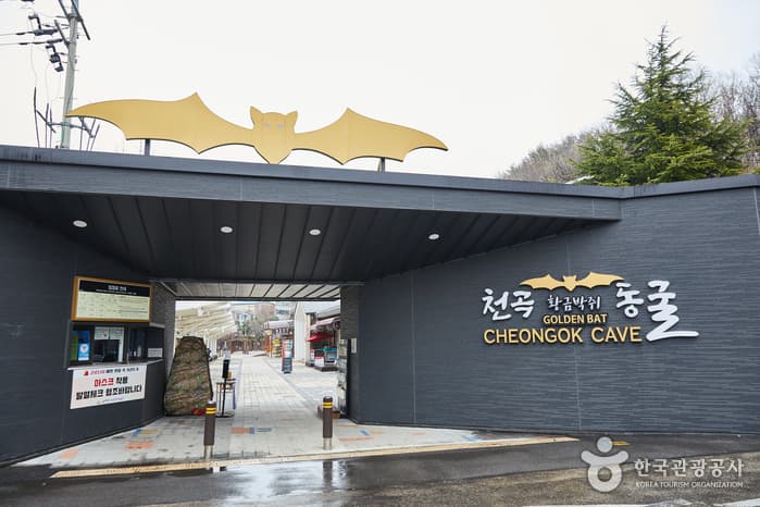 천곡황금박쥐동굴 대표 이미지
