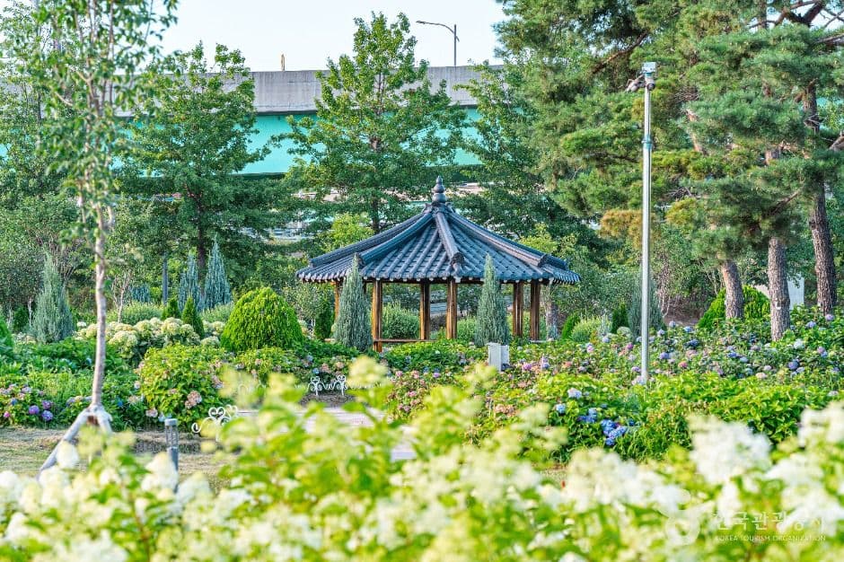 구리한강시민공원(코스모스공원) 대표 이미지