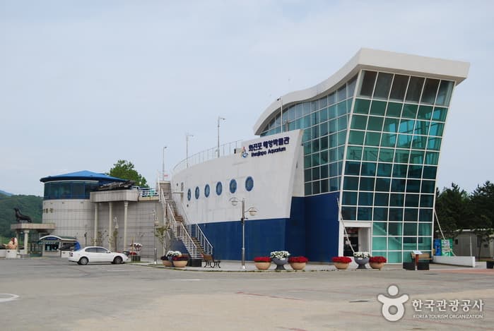 (고성) 화진포의 수려한 풍광 속으로, 자전거 여행 대표 이미지