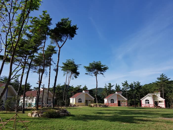 국립 달음산자연휴양림 대표 이미지