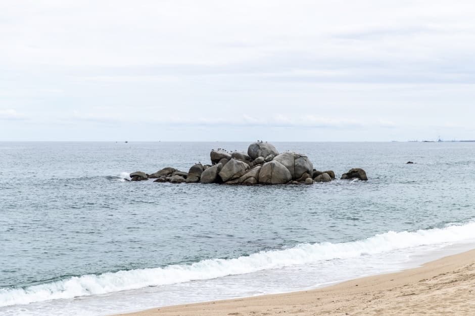 사천해변(사천해수욕장) 대표 이미지