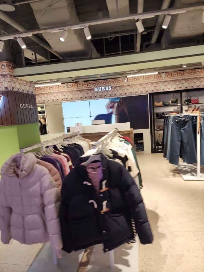 게스진 대표 이미지