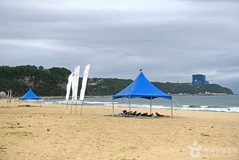 금진해변 대표 이미지