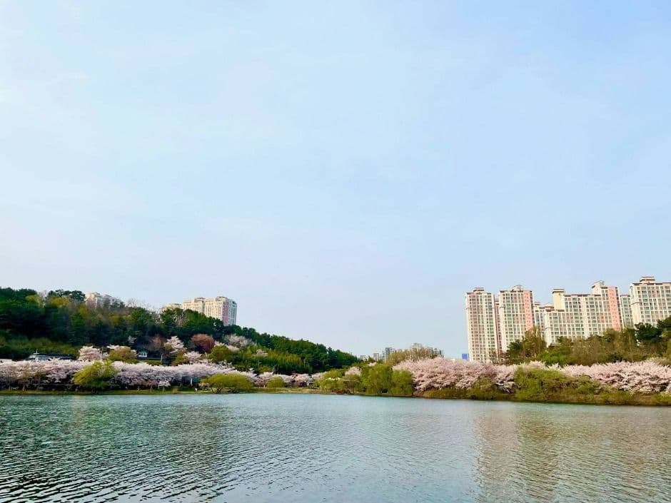 선암호수공원 대표 이미지