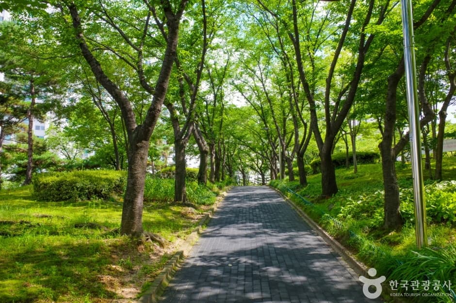 은행근린공원 대표 이미지