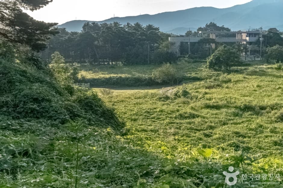 강릉 굴산사지 대표 이미지