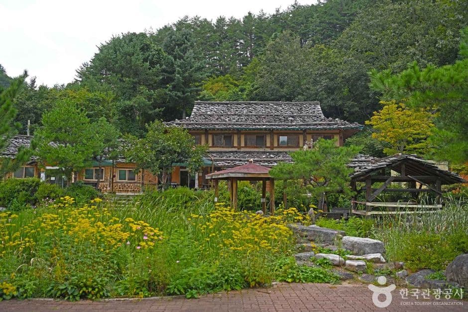 삼척 신리너와마을 대표 이미지