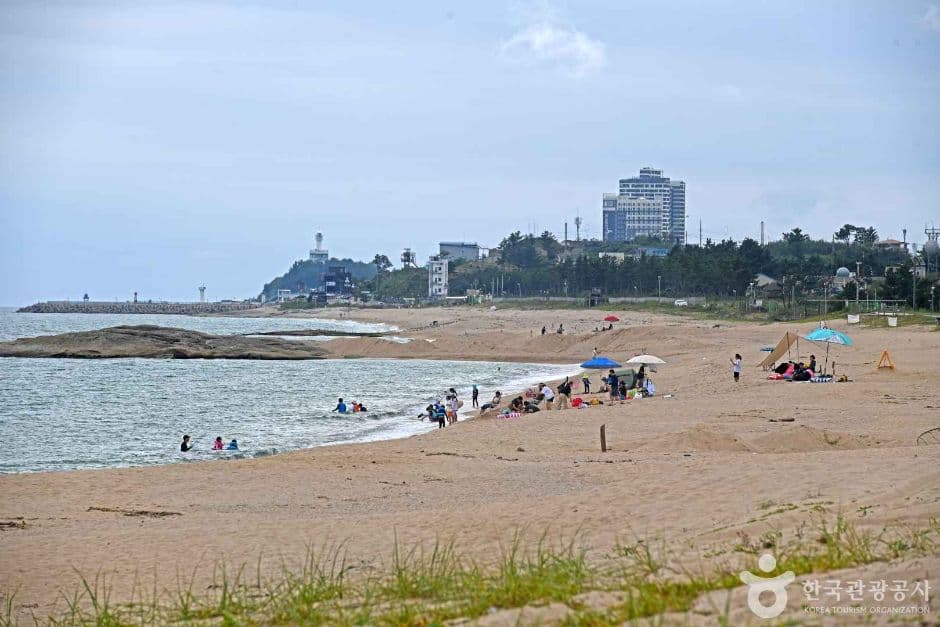 켄싱턴해변 대표 이미지