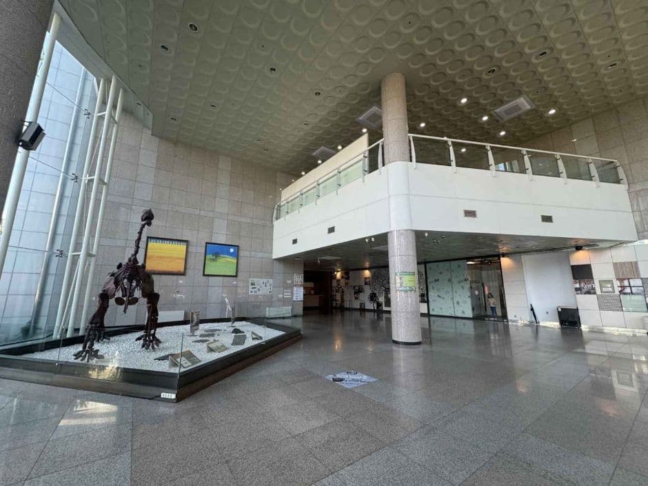 전남대학교 박물관 대표 이미지